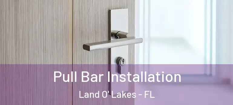 Pull Bar Installation Land O' Lakes - FL