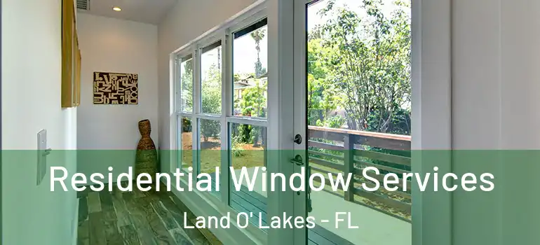 Residential Window Services Land O' Lakes - FL