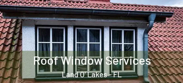 Roof Window Services Land O' Lakes - FL