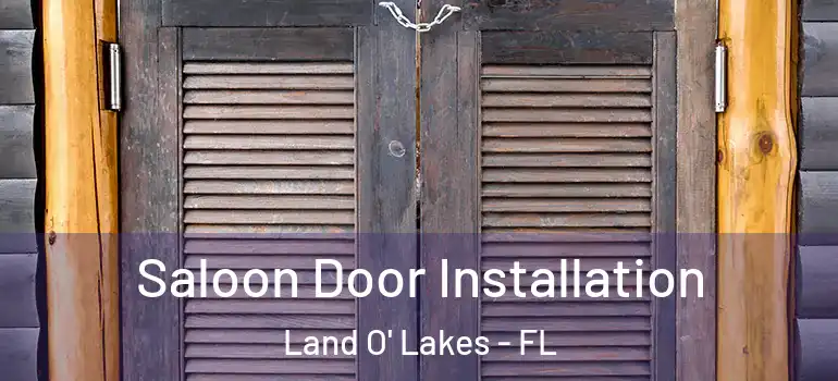 Saloon Door Installation Land O' Lakes - FL