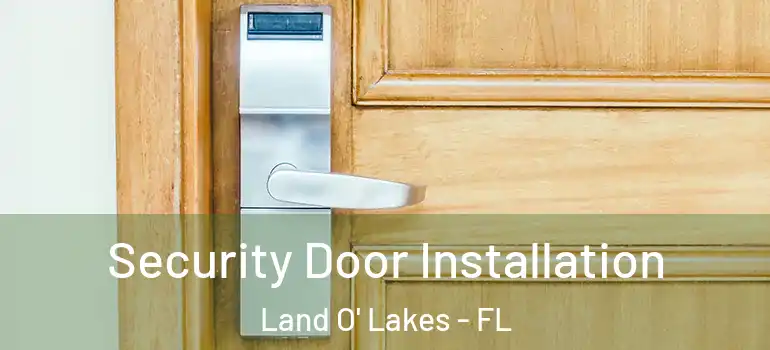 Security Door Installation Land O' Lakes - FL