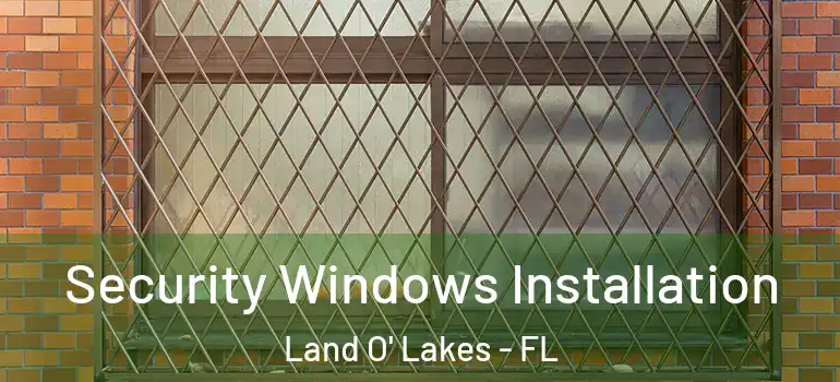 Security Windows Installation Land O' Lakes - FL