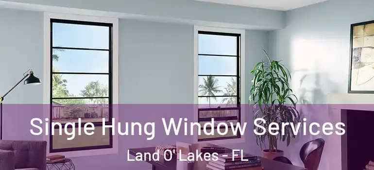 Single Hung Window Services Land O' Lakes - FL