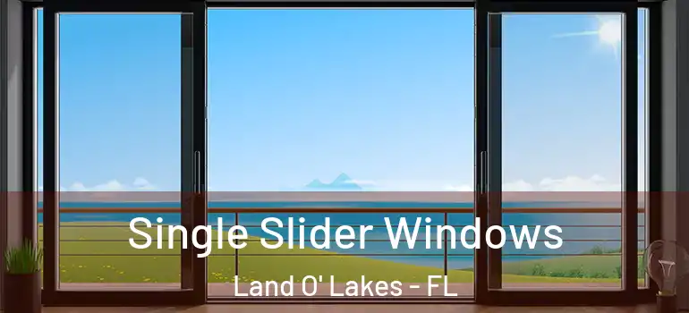 Single Slider Windows Land O' Lakes - FL