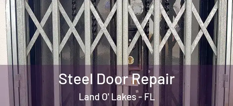 Steel Door Repair Land O' Lakes - FL