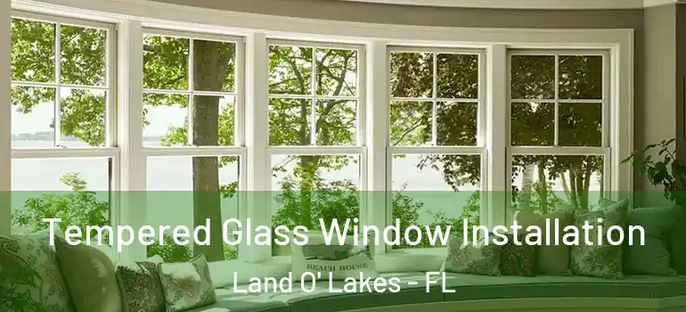 Tempered Glass Window Installation Land O' Lakes - FL