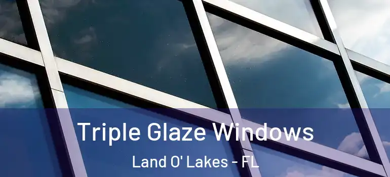 Triple Glaze Windows Land O' Lakes - FL
