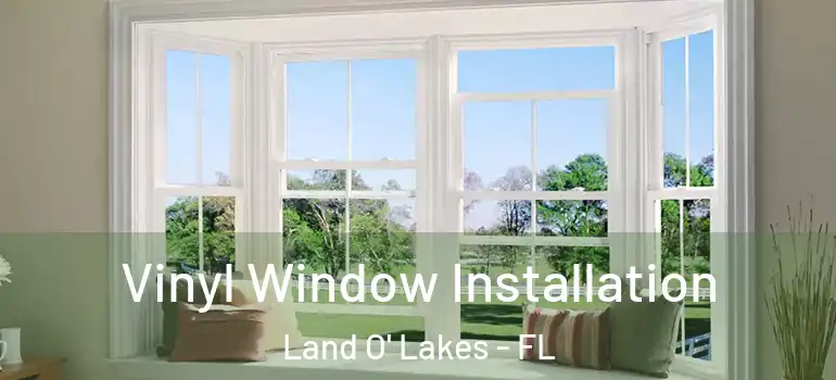 Vinyl Window Installation Land O' Lakes - FL