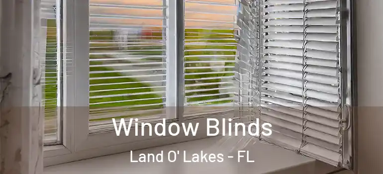 Window Blinds Land O' Lakes - FL