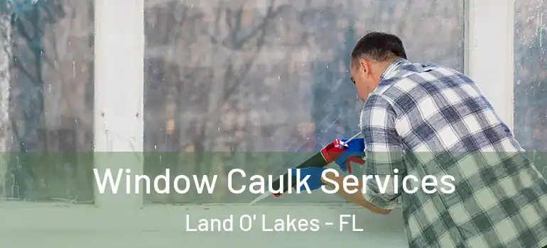 Window Caulk Services Land O' Lakes - FL