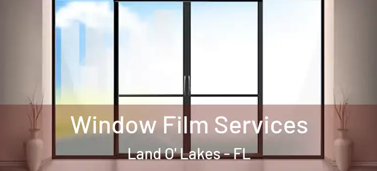 Window Film Services Land O' Lakes - FL