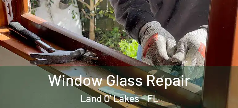 Window Glass Repair Land O' Lakes - FL