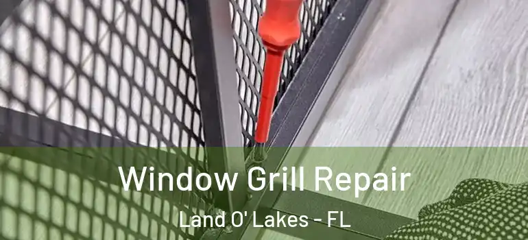 Window Grill Repair Land O' Lakes - FL