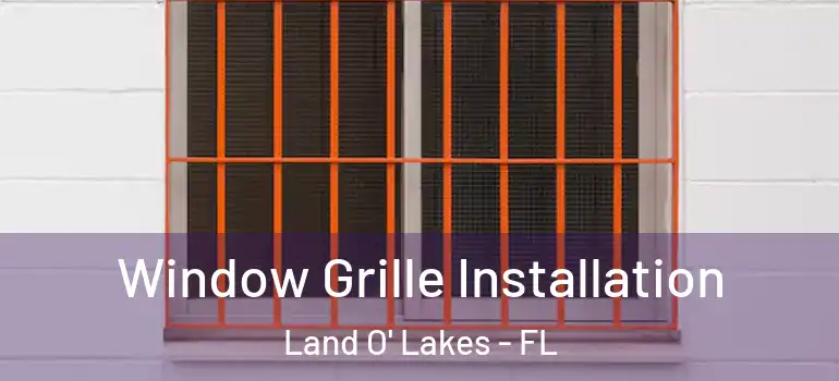 Window Grille Installation Land O' Lakes - FL