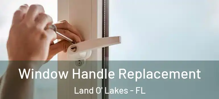 Window Handle Replacement Land O' Lakes - FL
