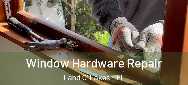 Window Hardware Repair Land O' Lakes - FL