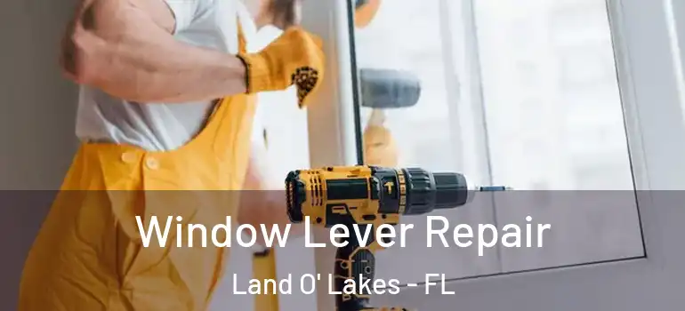 Window Lever Repair Land O' Lakes - FL