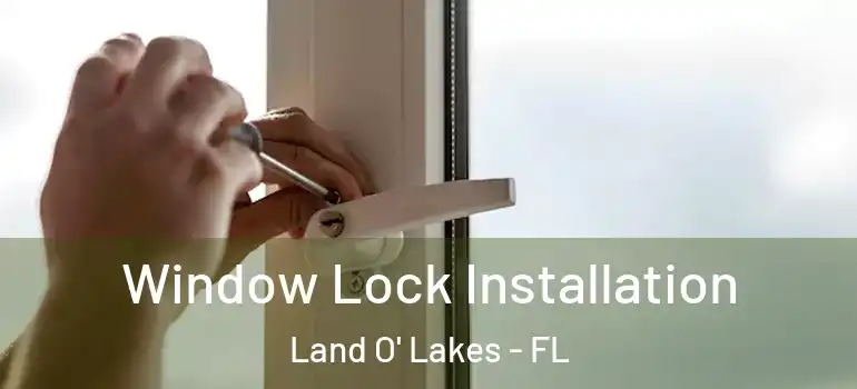 Window Lock Installation Land O' Lakes - FL