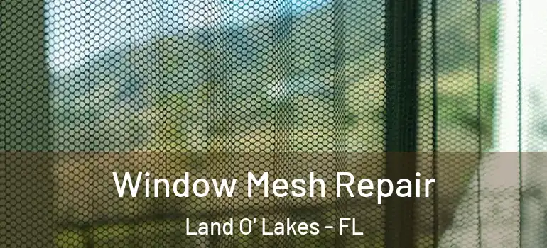  Window Mesh Repair Land O' Lakes - FL
