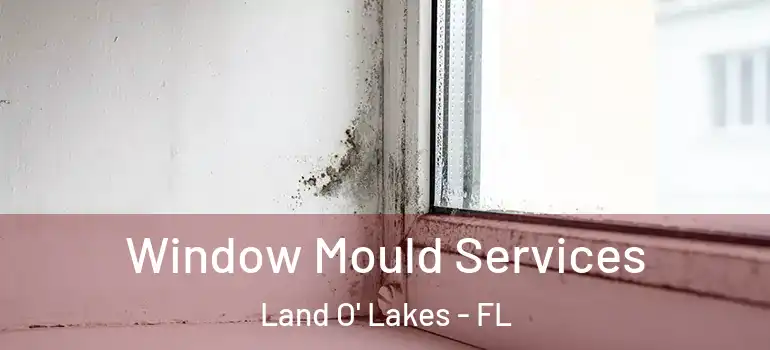 Window Mould Services Land O' Lakes - FL