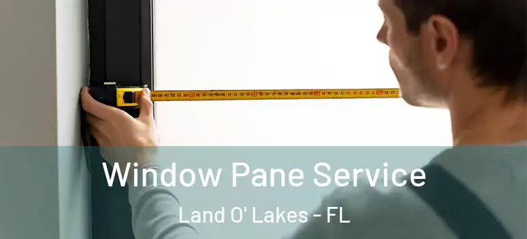 Window Pane Service Land O' Lakes - FL