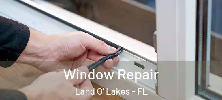 Window Repair Land O' Lakes - FL