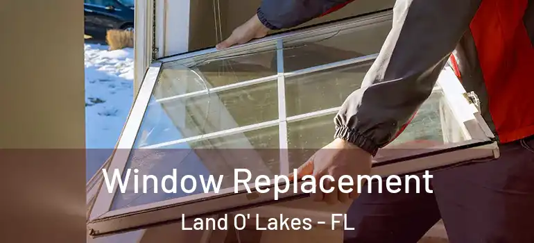 Window Replacement Land O' Lakes - FL