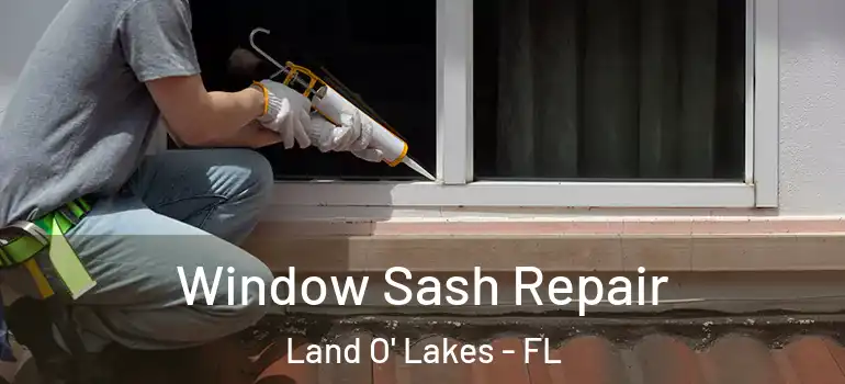 Window Sash Repair Land O' Lakes - FL