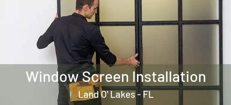 Window Screen Installation Land O' Lakes - FL