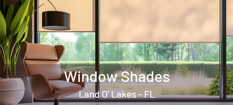 Window Shades Land O' Lakes - FL