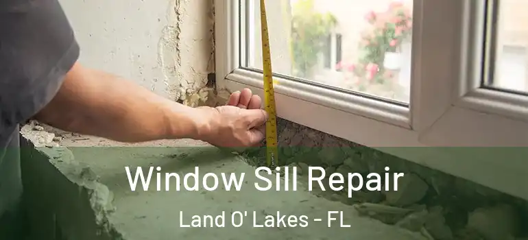 Window Sill Repair Land O' Lakes - FL