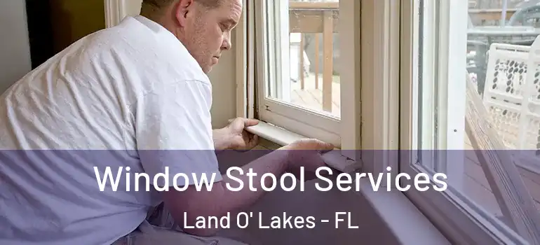Window Stool Services Land O' Lakes - FL