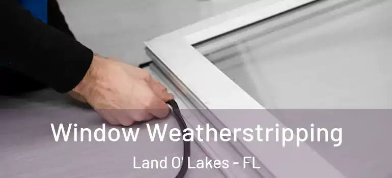 Window Weatherstripping Land O' Lakes - FL