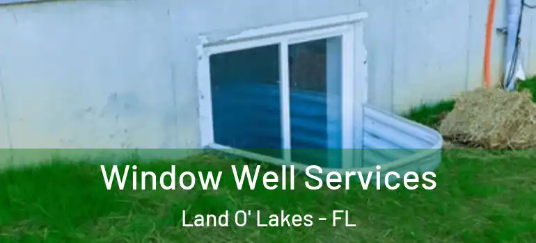 Window Well Services Land O' Lakes - FL
