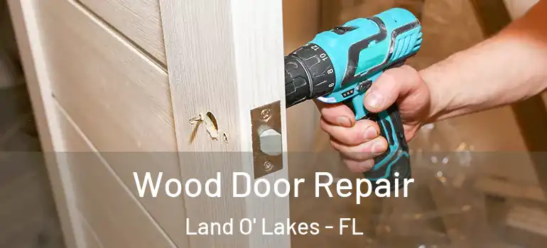 Wood Door Repair Land O' Lakes - FL